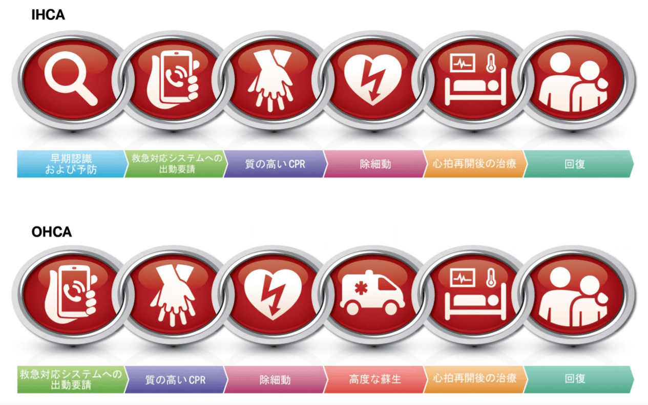 超高品質で人気の BLS AHA ガイドラインBLS ◎裁断済み】ACLS